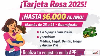 ¡Mamás de 25 a 45 años! Apoyo anual de $6,000 pesos de la Tarjeta Rosa