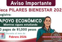 Mesa de trabajo 2 435