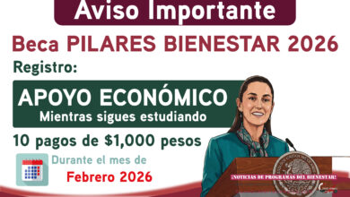 Mesa de trabajo 2 435