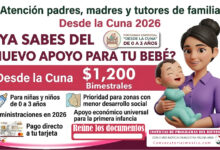 Desde la Cuna 2026: apoyo para niñas y niños de 0 a 3 años con prioridad para zonas con menor desarrollo social