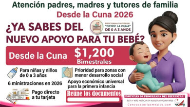 Desde la Cuna 2026: apoyo para niñas y niños de 0 a 3 años con prioridad para zonas con menor desarrollo social