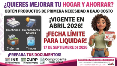 Colchones, calentadores solares, cisternas o tinacos a bajo costo: así puedes apartarlos en 2026