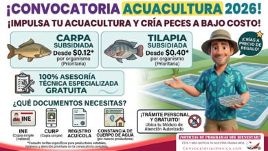 Ya está disponible la convocatoria 2026 del Programa de Impulso a la Acuacultura