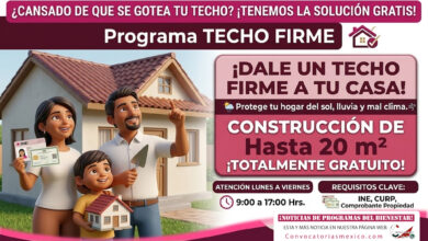 Hasta 20 m2 de construcción Techo Firme: apoyo para mejorar el techo de tu casa