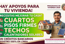 Mesa de trabajo 2 485