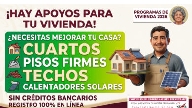 Mesa de trabajo 2 485