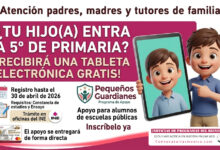 Pequeños Guardianes: niñas y niños de primaria podrán recibir una tableta electrónica