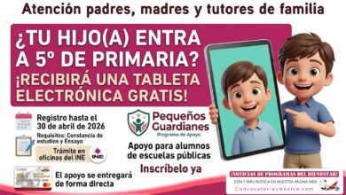 Pequeños Guardianes: niñas y niños de primaria podrán recibir una tableta electrónica