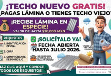 Apoyo de Lámina para Vivienda 2026: requisitos, tipos de lámina y cómo solicitarlo