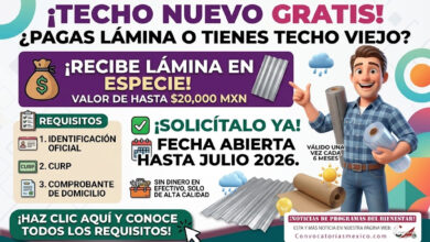 Apoyo de Lámina para Vivienda 2026: requisitos, tipos de lámina y cómo solicitarlo