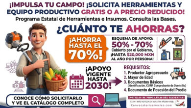 Se mantiene apoyo estatal de herramientas, insumos y equipo productivo hasta el 30 de septiembre de 2030