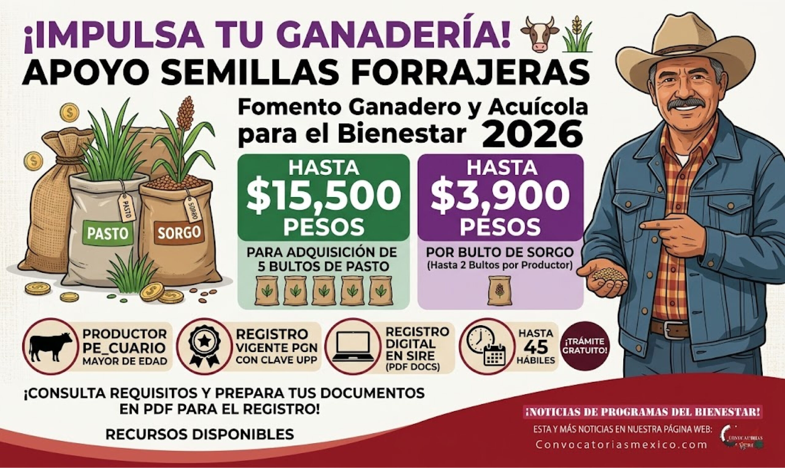 Morelos 2026: apoyo para semillas forrajeras de sorgo y pasto para productores ganaderos