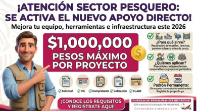 Yucatán 2026: PADDEPA “Creciendo con Bienestar en la Pesca” dará apoyo económico para herramientas, insumos e infraestructura pesquera