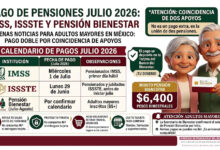 Mesa de trabajo 2 512