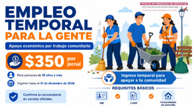 Guanajuato 2026: Empleo Temporal para la Gente dará apoyo económico por trabajo comunitario