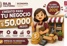 Baja California abre financiamiento “Tu Idea, Tu Negocio 2026” para pequeños negocios