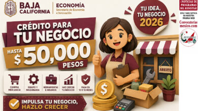 Baja California abre financiamiento “Tu Idea, Tu Negocio 2026” para pequeños negocios