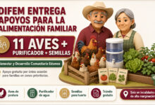 Bienestar y Desarrollo Comunitario Edomex: DIFEM entrega aves de postura, purificador de agua y semillas para huertos familiares