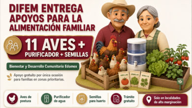 Bienestar y Desarrollo Comunitario Edomex: DIFEM entrega aves de postura, purificador de agua y semillas para huertos familiares