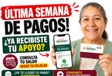 Última semana de pagos de los Programas del Bienestar: consulta tu cuenta con la aplicación del Banco del Bienestar