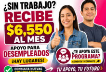Apoyo para personas desempleadas en Gustavo A. Madero 2026: quiénes reciben $6,550 mensuales y cómo consultar nuevas convocatorias