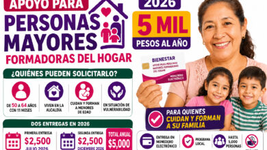 Conoce quién puede solicitar el Apoyo para Personas Mayores Formadoras del Hogar 2026 en Venustiano Carranza, cuánto paga, requisitos, documentos y fechas de entrega.