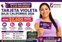 Tarjeta Violeta Baja California 2026: apoyo de $2,600 bimestrales, requisitos y cómo solicitarla