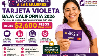 Tarjeta Violeta Baja California 2026: apoyo de $2,600 bimestrales, requisitos y cómo solicitarla