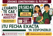 Jóvenes Construyendo el Futuro: este es el pago que cae a finales de agosto de 2026 y la fecha de depósito