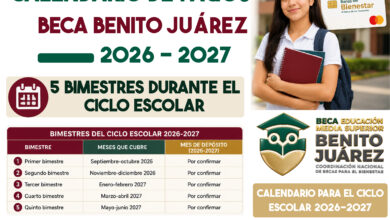 Calendario de pagos Beca Benito Juárez 2026-2027: estos son los 5 bimestres que corresponden al siguiente ciclo escolar