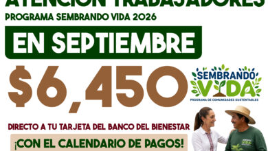 Sembrando Vida septiembre-octubre 2026: esta es la fecha de pago para beneficiarios del programa