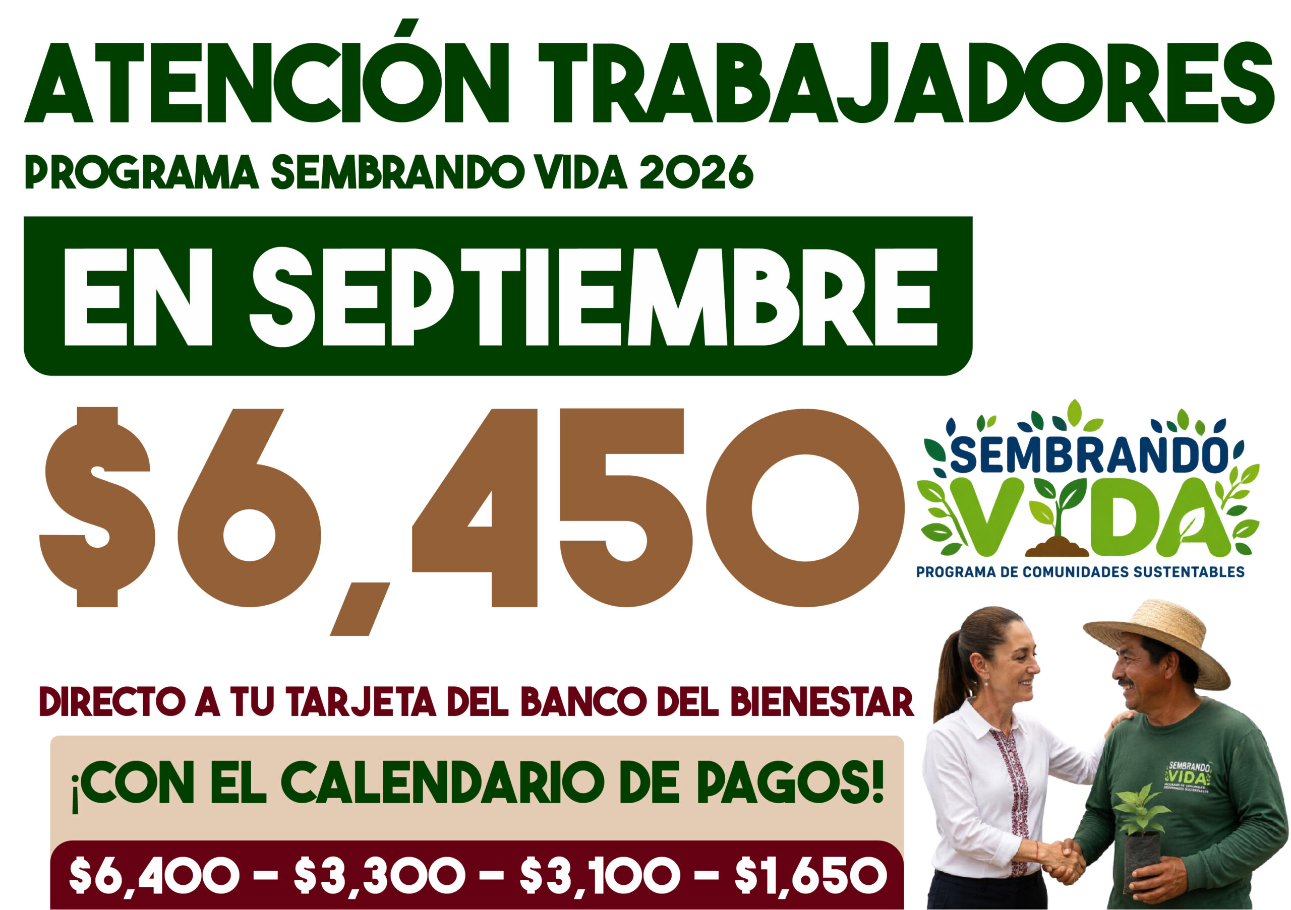 Sembrando Vida septiembre-octubre 2026: esta es la fecha de pago para beneficiarios del programa