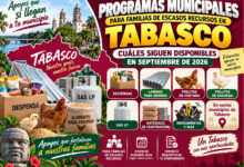 Mesa de trabajo 2 565