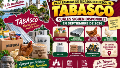 Mesa de trabajo 2 565