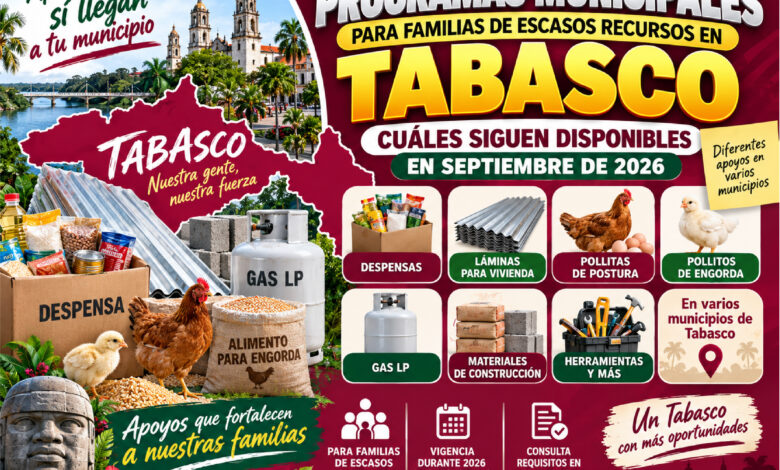 Mesa de trabajo 2 565