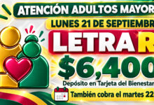 Mesa de trabajo 2 567