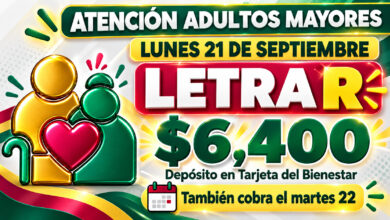 Mesa de trabajo 2 567