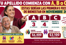 ¿Tu apellido comienza con A, B o C? Estas serían las primeras fechas de Bienestar en noviembre 2026