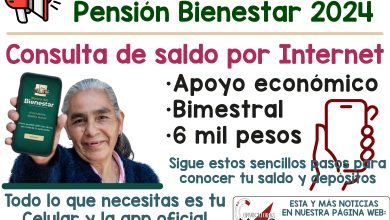 ¿Cómo saber cuánto tienes y cuándo recibes tu Pensión Bienestar? Consulta en Línea