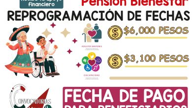 Adultos Mayores y personas con discapacidad ¿Cuándo recibirán su apoyo de la Pensión Bienestar?