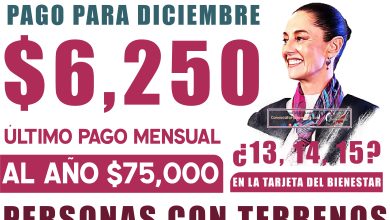 ¿Cuándo paga los $6,250 pesos el programa sembrando vida en diciembre?