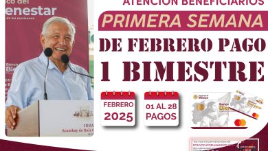 ¿Cuál es el programa que brinda su apoyo en la primera semana de febrero?