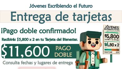 Mesa de trabajo 3 303