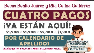Cuatro pagos $1,900 + $1,900 + $5,800 + $1,900 de las Becas Benito Juárez y Rita Cetina
