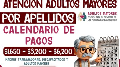 Mesa de trabajo 3 329