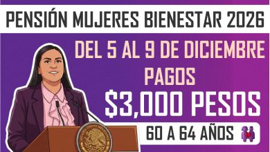 Mesa de trabajo 3 397