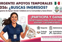 ¡Apoyo temporal! Para Jefas de Familia, Jóvenes y desempleados: Programa de Apoyo Social 2026