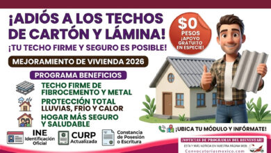 Apoyo para viviendas con techos de materiales endebles: sigue visible programa para mejorar el techo del hogar
