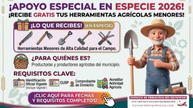 Apoyos Productivos en Especie entregará Herramientas Agrícolas Menores a productores