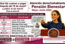 ¿Cuándo se reanudan los pagos de la Pensión Bienestar después del 15 de mayo de 2026?